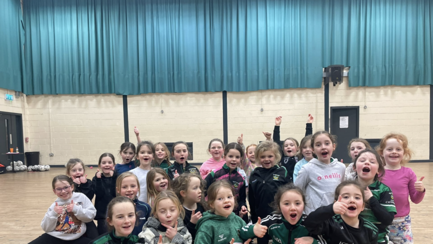 U8 LGFA Indoor Programme